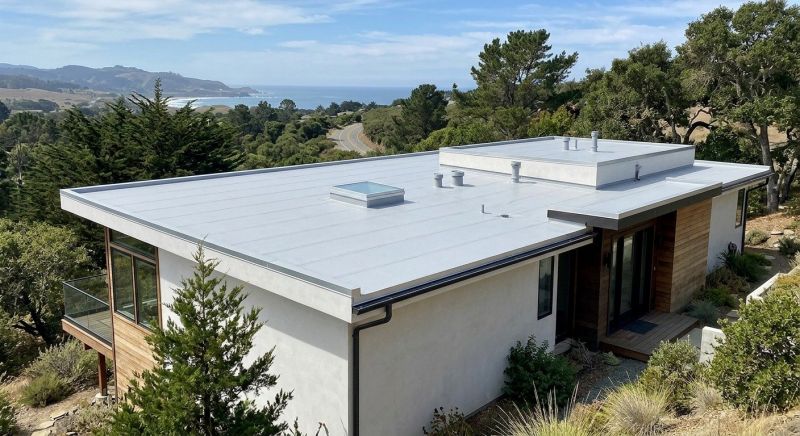 Tpo Roof Construction in Naperville, IL